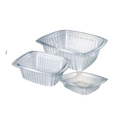 Rectangular Salad Cear Container